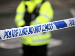 Man arrested after 'girl aged FOUR is raped in Manchester'