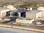 Warning of `risky and expensive´ nuclear project at Hinkley Point C