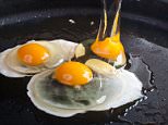 How famous chefs and food writers fry their eggs