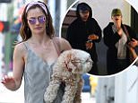 Minka Kelly is joined by pet dog Chewy in La Quinta