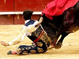 Rookie matador is left bloodied and battered by bull