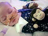 Family announces death of terminally-ill baby Charlie Gard