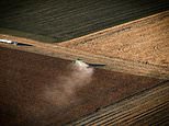 Warmer Arctic harms crops in US, Canada: study