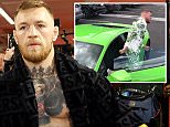 Conor McGregor shows punching prowess in open workout