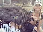 Miranda Lambert helps rescue over SEVENTY dogs from Texas