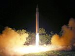 N.Korean missiles 'based on motor from ex-Soviet plant'