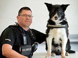 Police dog in Manchester Arena bombing suffering PTSD