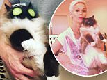 Jessica Rowe gives her cat hair foils and a facial