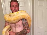 Hampshire python found near dead owner under investigation