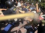Berkeley loosens rules on police pepper-spraying protesters