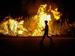 'Arsonists' are blamed for fires in Spain and Portugal