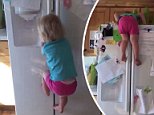 It's the climb! Two-year-old scales the refrigerator