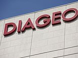 Drinks giant Diageo tops good governance rankings