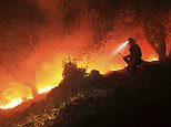 Death toll from California wildfires `large as New York City´ rises to 31