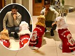 Arsenal's Alexis Sanchez gets Christmas jumpers for dogs