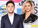 Niall Horan looks slick at the American Music Awards