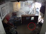 SUV nearly hits dogs after smashing through home