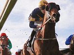 Robin Goodfellow's Best bets for Saturday, December 2