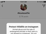 Instagram warning launched to stop animal cruelty