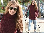 Selma Blair debuts lighter locks on walk with rescue dogs