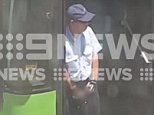 Gold Coast bus driver urinates out door of vehicle 
