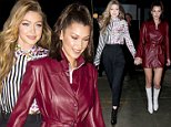 Gigi and Bella Hadid hold hands out in NYC