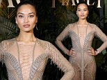 Shanina Shaik dazzles in a plunging jewel-encrusted gown