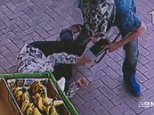 Thug shoves mother to the ground and steals her handbag