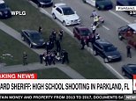 Parkland Florida school shooting suspect in custody