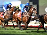 The greatest of all time? Winx sets record for most group one wins
