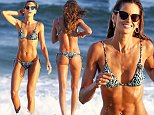 Izabel Goulart flaunts her sculpted midriff and derriere in tiny bikini during Brazilian getaway
