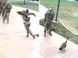 Protective goose frightens soldiers at Oklahoma base