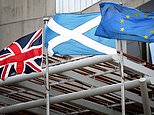Brexit challenge to proceed to full hearing in Scottish…