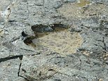 Dinosaur footprints are found on the Isle of Skye