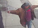 Man wielding a metal pipe is shot dead by NYPD cops
