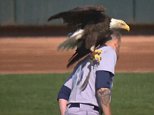 Bald Eagle lands on Mariners' James Paxton after flying around Target Field for national anthem