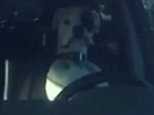 Bulldog rides the horn as he impatiently waits for his owner to come back to the car