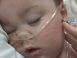 Alfie Evans' parents drop legal battle to fly him to Italy