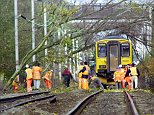 Up to 10 million trees face the axe in secretive Network Rail felling plan to end leaves on the line