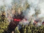 Hawaii volcano erupts LIVE: Ten thousand evacuated as Kilauea spews lava