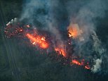 Lava destroys five homes in Hawaii after Kilauea volcano erupts