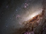 NASA Hubble images of nearest galaxies could explain how stars form