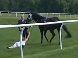 At The Races presenter Hayley Moore stops loose horse at Chepstow despite being thrown to floor