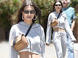 Emily Ratajkowski flaunts abs in cropped hoodie as she is joined by husband and parents for holiday
