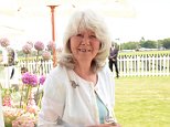 Fear of women is driving men to turn to gay affairs, claims Jilly Cooper