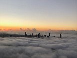 Brisbane skyscrapers just visible above thick layer of fog Wedensday