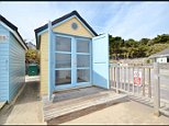 Wooden beach goes on market for £60,000 but has to be handed back after 16 years