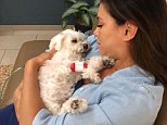 Eva Longoria is heartbroken as her beloved dog Jinxy passes away in her arms after a stroke 