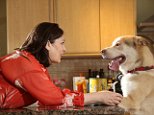 SARAH VINE: Dogs talk to humans through gestures and behaviour