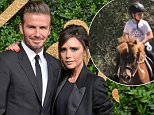 Victoria and David Beckham 'to gift daughter Harper a £7,000 PONY for her seventh birthday'